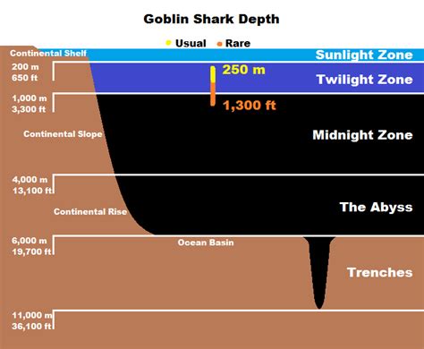 Real Monstrosities: Goblin Shark