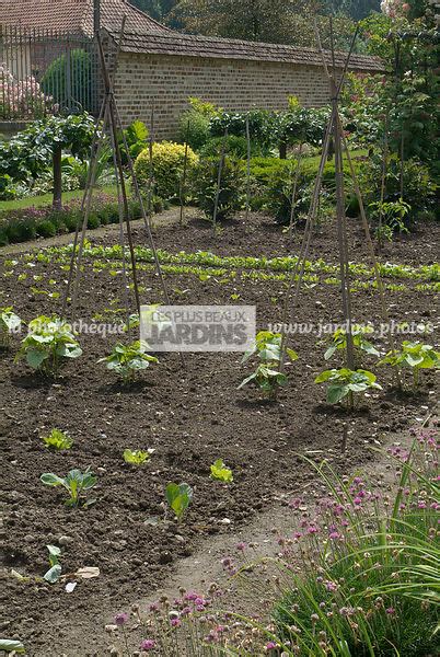 La Phototh Que Les Plus Beaux Jardins Jeune Potager Tuteur Les