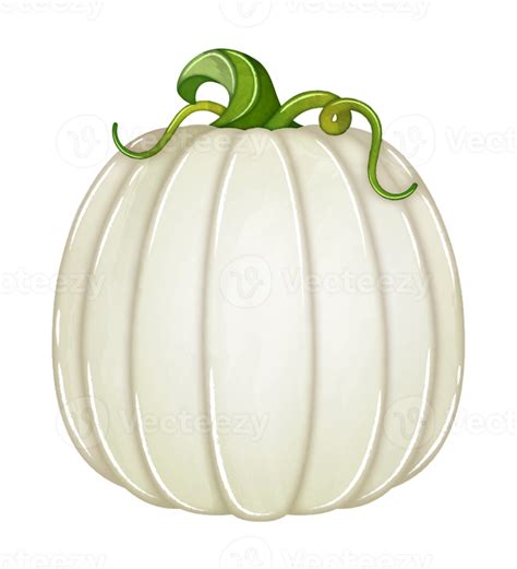 Watercolor White Pumpkin Clipart 11190851 Png