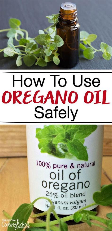 4 Health Benefits Linked To Oregano Oil Oregano Oil Benefits Oregano