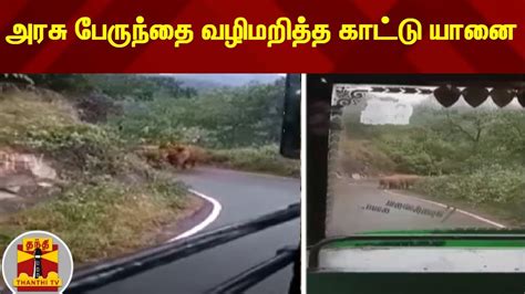 அரசு பேருந்தை வழிமறித்த காட்டு யானை Youtube