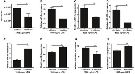 Identification Of A Novel Mechanism Of Bloodbrain Communication During