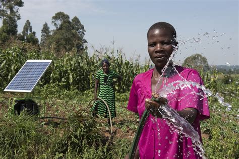 Irrigating A Farm Using Solar Powered Water Pump Jeffery M Flickr