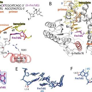 Single nucleotide gapped binary structure of polβ in complex with DNA