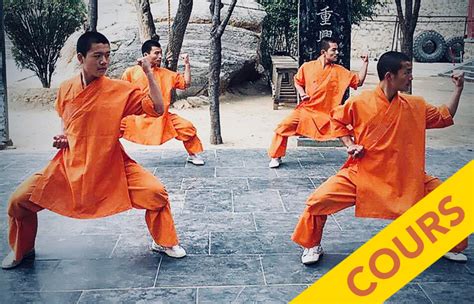 Tuto Cours Les Positions De Base Du Kung Fu Shaolin Vocabulaire Et