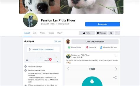 La Pension Les P Tits Filous Commune Du Merlerault