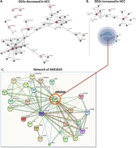 Protein Protein Interaction Of The Degs And Selection Of Akr1b10 A