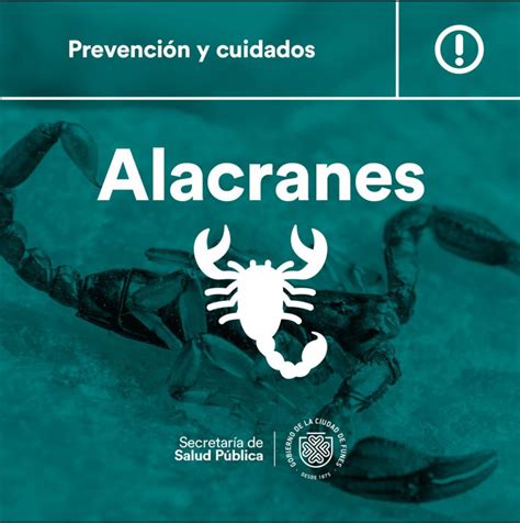 Recomendaciones para la prevención de picaduras de Alacranes Funes Hoy