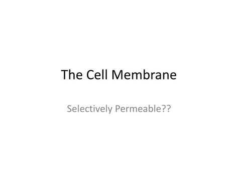 PPT - Cell Membrane Function and Structure Analysis PowerPoint ... 