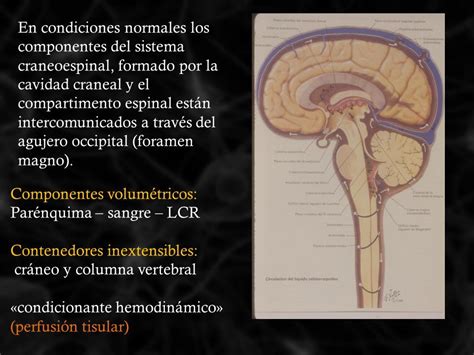 HIPERTENSIÓN ENDOCRANEANA UNIVERSIDAD NACIONAL JOSÉ FAUSTINO SÁNCHEZ