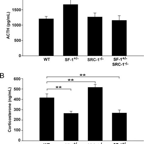 Plasma ACTH A And Corticosterone B Levels In WT SF1 SRC 1