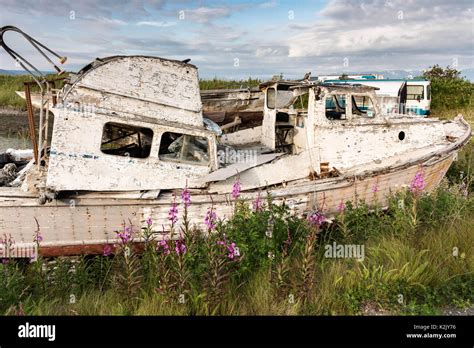 Old Rotting Abandoned Wooden Boats Sit Among Wildflowers Along The