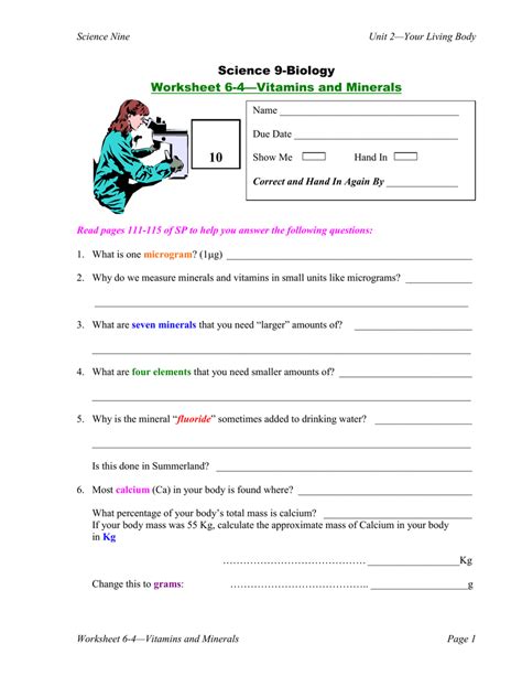 Vitamins And Minerals Worksheet