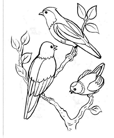 Coloriage Oiseaux sur l arbre et dessin gratuit à imprimer Dessine les