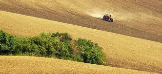 Agricoltura Europea Calano Le Aziende Ma Crescono I Biologico E Le