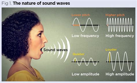 The Senses Hearing Balance And Common Pathologies Of The Ear