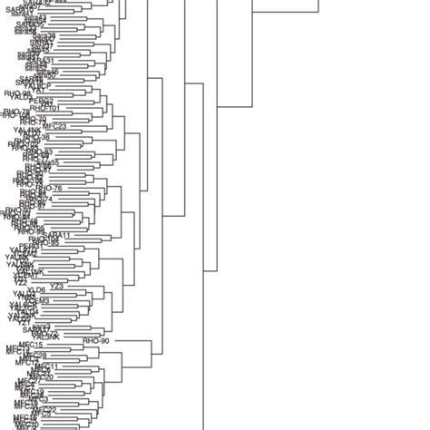 A Dendrogram Based On Cluster Analysis Hierarchical Average Linkage