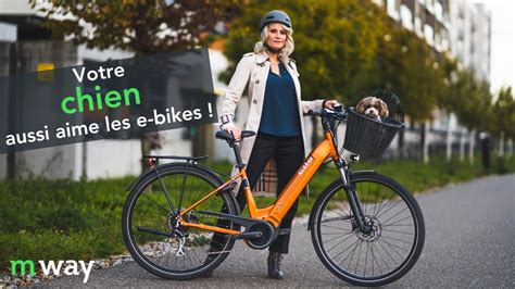 Votre Chien Aussi Aime Les E Bikes V Los Lectriques Partir De