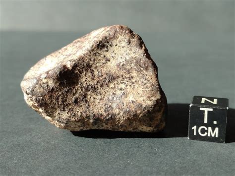 Meteorites For Sale - Franconia Meteorite 61.8 gram Individual ...