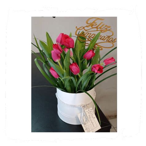 Box X Tulipanes Arreglos Florales Florer A Bloom