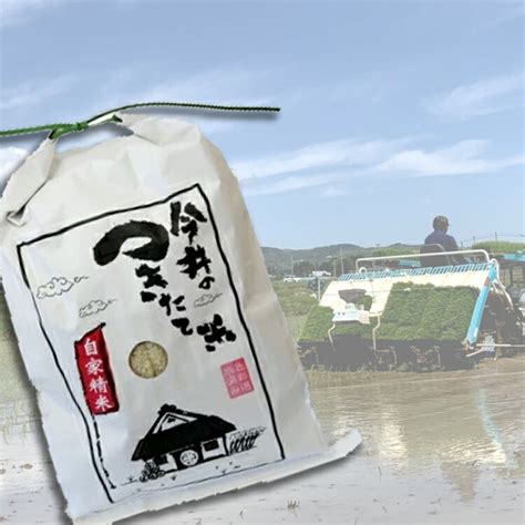 ください 【ふるさと納税】【令和4年産】【今井のつきたて米】 精米 白米 米 定期便 定期 ｜：福島県大玉村 コシヒカリ 25kg（毎月5kg