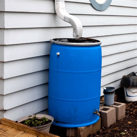 how to collect rain water at home