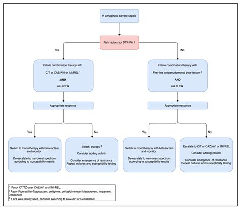 Pseudomonas Aeruginosa Uti Treatment - Carpet Vidalondon