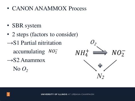 Anammox Process for Nitrogen Removal from Wastewater