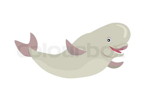 Beluga Whale Cartoon Flat Vector Illustration | Stock vector | Colourbox