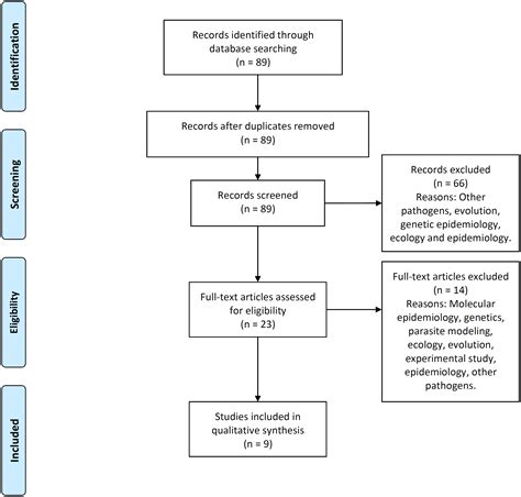 Multi-scale immunoepidemiological modeling of within-host and between ...