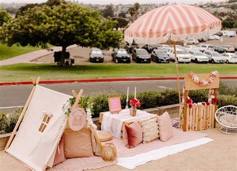 Pupnic on the Bay at Mission Bay Beach Club — Puppy Picnic Co.