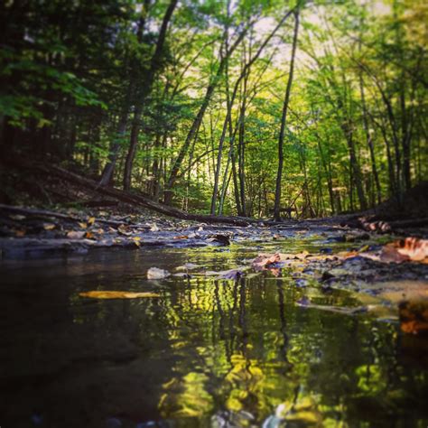 Kinns Road Mountain Bike Trail In Clifton Park New York Directions