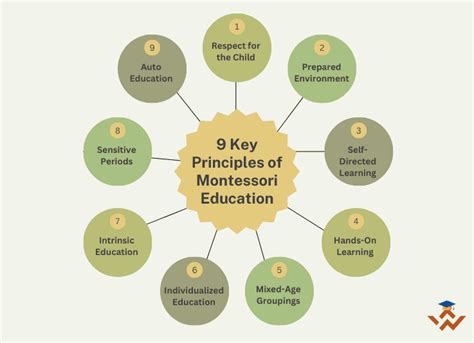 What Are The Core Principles Of Montessori Method Wisdomnest