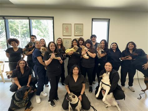 west main animal hospital