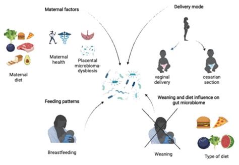 Biomedicines Free Full Text The Yin Yang Concept Of Pediatric