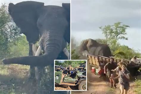 Terrifying Moment Sex Crazed 13ft Elephant Charges Safari Truck Leaving