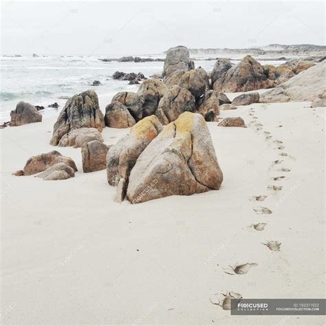 Scenic view of footprints in sand on beach — nature, wave - Stock Photo | #193311932