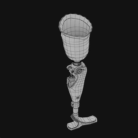 Prosthetic Leg 3d Model 39 Fbx Lxo Obj Max Ma Free3d