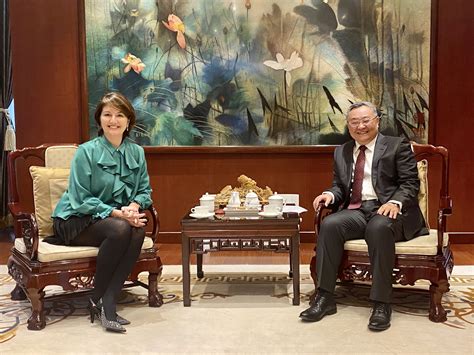 Ambassador Fu Cong Met L Cia Abrantes Dos Santos Acting Director Of