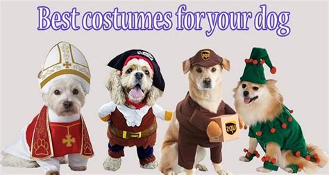 Best Dog Costumes - Top 10 newest and most amazing dog costumes 2017