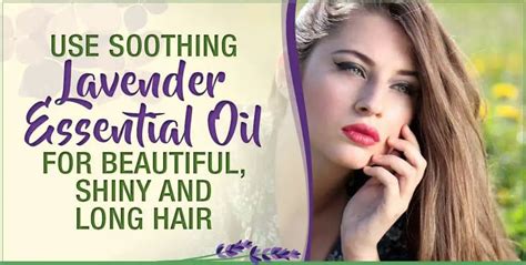 Use Soothing Lavender Essential Oil For Beautiful, Shiny And Long Hair ...