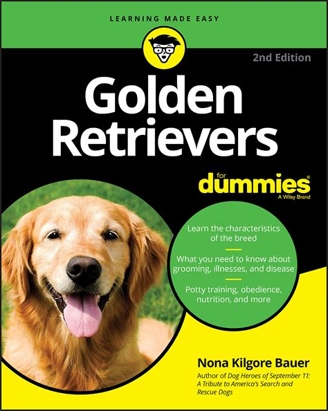 Are Golden Retrievers Easy To Potty Train