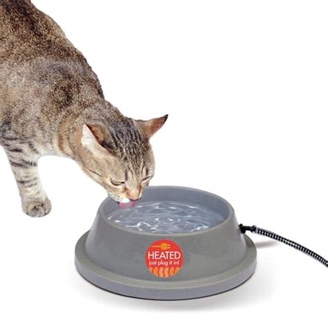 I Tested Heated Bowls for My Cat's Water and Here's Why It's a Game ...