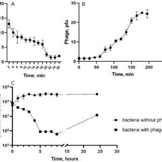 Biological Properties Of The Phage St 134 A Phage Adsorption To Host