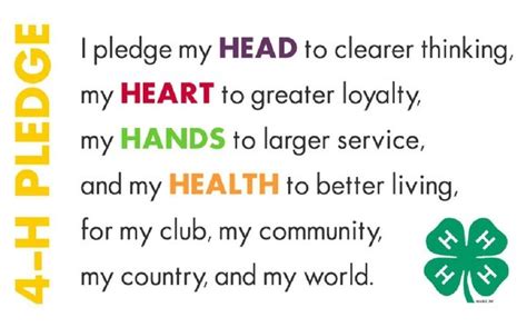 The 4h Pledge | Pledge, How to memorize things, 4 h