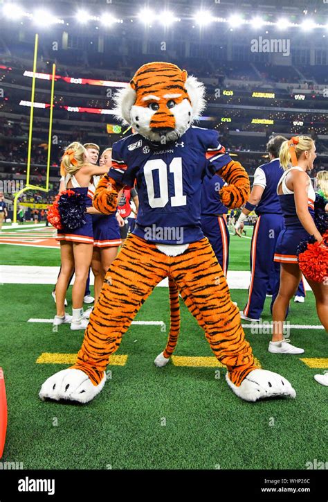 Aubie hi-res stock photography and images - Alamy