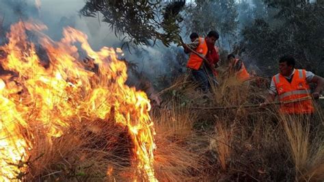 Altoalfuego Las Altas Temperaturas De Verano En La Regi N Originan