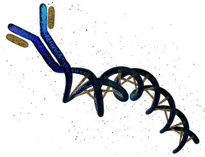 Recombinant Antibody Technology: Versatile Platforms for Diverse ...