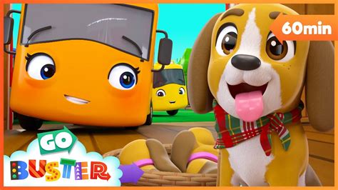 Buster Saves The Puppy Go Buster Bus Cartoons And Kids Stories Youtube