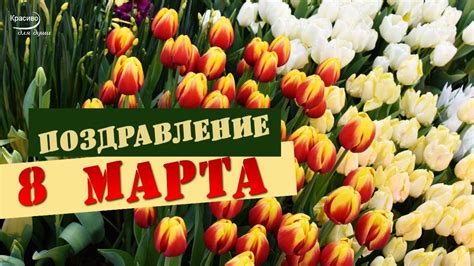 С ПРАЗДНИКОМ 8 МАРТА! Весенние цветы и красивое поздравление от всей ...